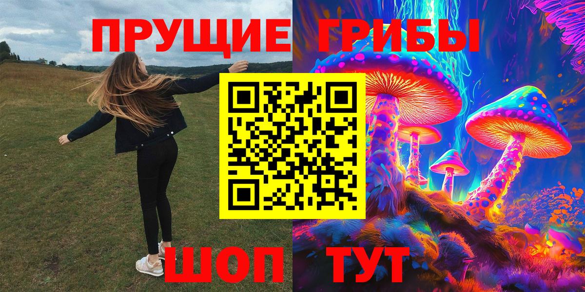 Галлюциногенные грибы Psilocybine cubensis  Вход с VPN  Курганинск 