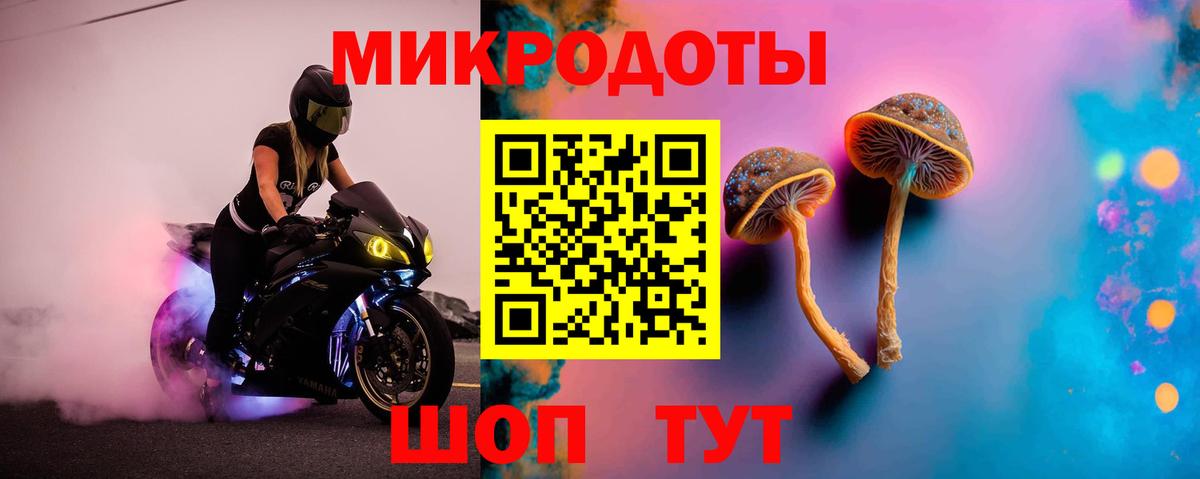 Галлюциногенные грибы Magic Shrooms Курганинск
